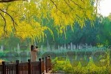 秘鲁足球世界比分-秘鲁足球世界比分，从南美劲旅到国际舞台的荣耀征程